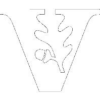 Vanderbilt Logo